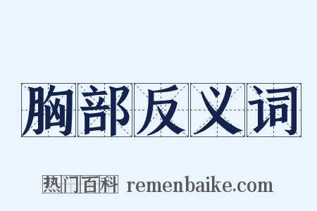胸部反义词是什么意思的图片